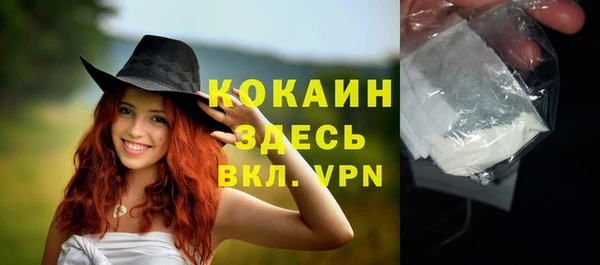 дживик Богородск