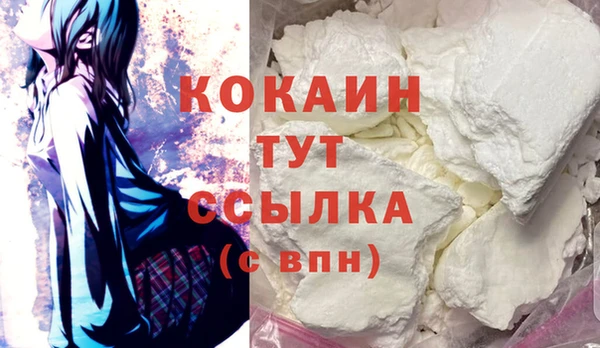 дживик Богородск