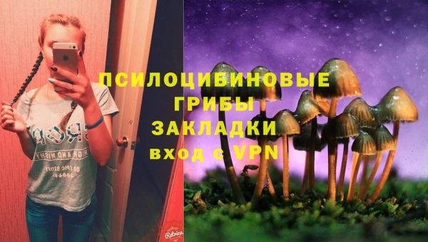 дживик Богородск