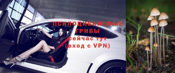 дживик Богородск
