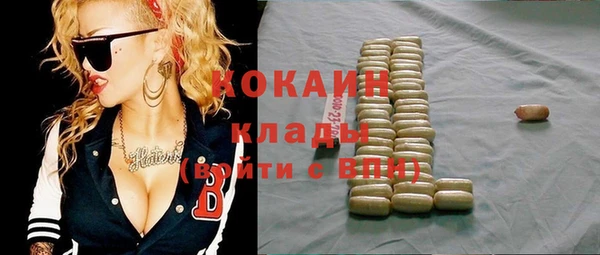 дживик Богородск