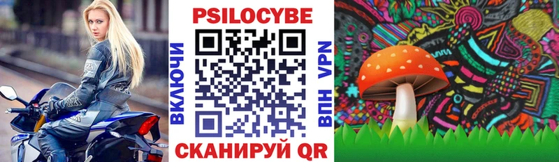 Купить  Богородицк  Псилоцибиновые грибы мицелий 